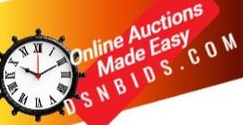 Dsnbids.com Banner